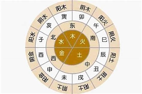 五行木行业|八字五行属木是什么意思 八字五行属木行业